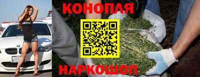ECSTASY Донской