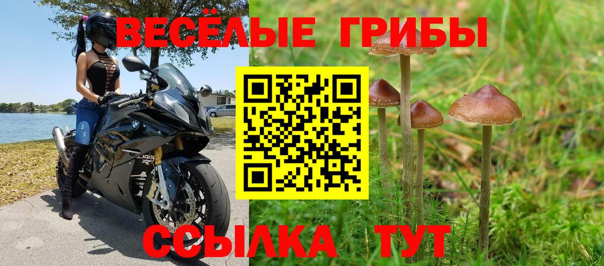 Псилоцибиновые грибы GOLDEN TEACHER  закладки  Кумертау  Вход с VPN 